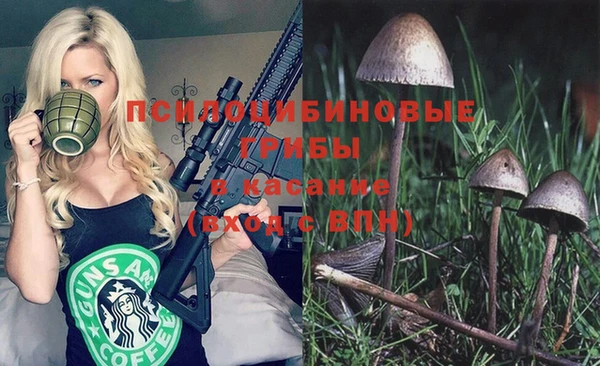 хмурый Балабаново